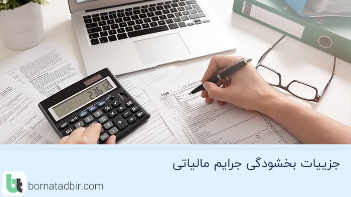 گروه مشاوران مالی برنا تدبیر