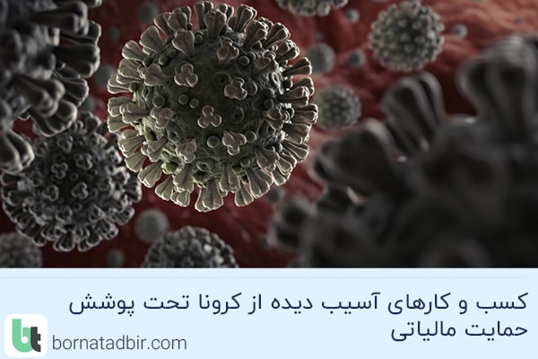 گروه مشاوران مالی برنا تدبیر