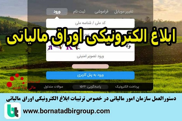 گروه مشاوران مالی برنا تدبیر